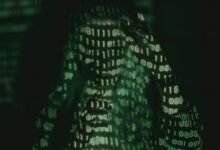 full information updates available